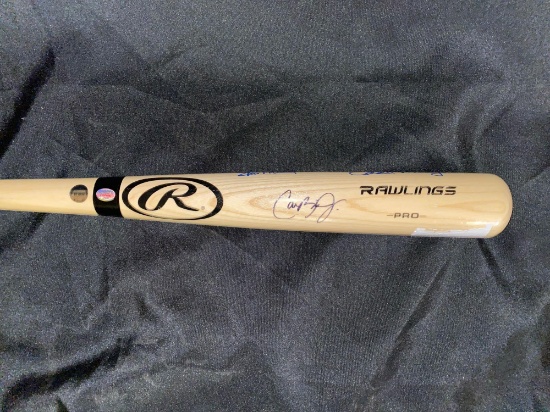 Rawlings Pro 34" baseball bat w/ (7) autographs