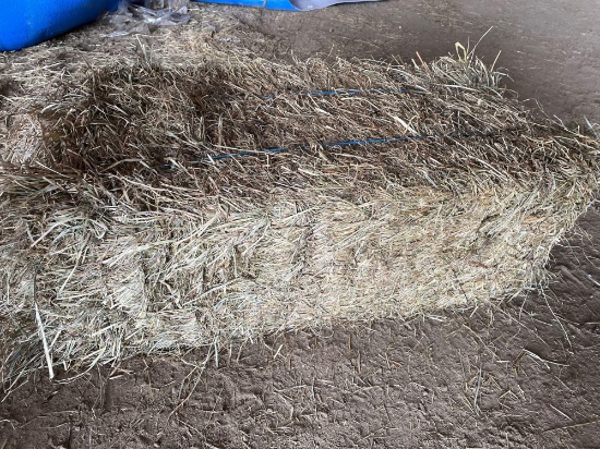 (50) 2nd cutting hay