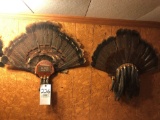 (5) turkey fan displays