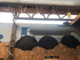 (4) deer racks, (3) turkey fans, (4) sheds