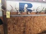 19 deer racks