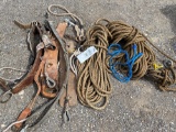 Climbing harnesses and rope