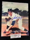 Sandy Koufax signed 8 x 10 photo.