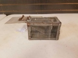 Small mouse live trap