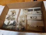 Glenbrook stock farm photo postcards