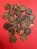 (20) Indian head pennies