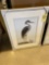 Framed Bird Picture
