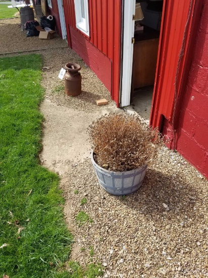 Cottage cry milk can no bottom, plastic planter