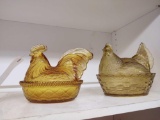 Amber Covered Hens
