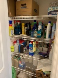 Contents of closet, cleaning items and more