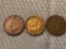 (3) Indian Head cents (1887, 1905, 1909).