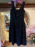 Charlottes Canton, Ohio Dress