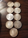 Peace silver dollars, 1922-1926. Bid x 9