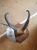 Antelope horns
