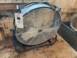 Fan