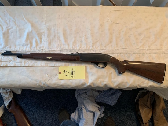 Remington Nylon 66 22LR