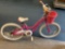 Trek Girls Bicycle