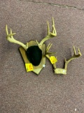 Deer Antlers