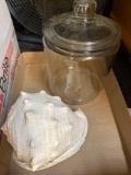 Big conch shell glass jar