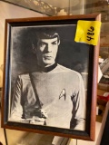 Framed Star Trek Spoc picture