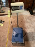 Excell Floor Scale
