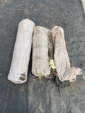 Green Bamboo plant stakes