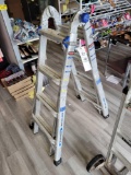 Werner multi ladder