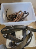 Reins and girth straps