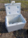 Electric cooler