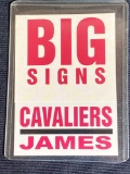 2003/2004 Fleer Big Signs LeBron James #7 of 15 card.