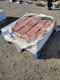 Pallet of driveway pavers (brick)