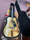 Alvarez acoustic guitar with case