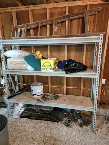 Garage Shelf and Contents, Ladder