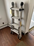 Cosco Multi-Use Ladder