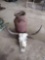 Milk Can and Long Horn Skull