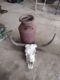 Milk Can and Long Horn Skull