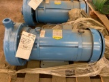 Deeming End Suction Pump