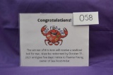 Calling all seafood lovers! the winner of this item will receive a seafood boil for two.