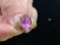 14 K Gold filigree ring w/ pink stone, 2.5 grams.