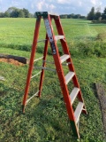 6 Ft. Ladder