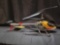 Stability rc helicopter