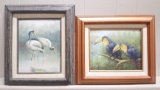 2 signed oil paintings of tropical birds