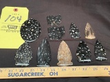 10 Ohio petrified palm polished gem stones