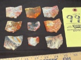 9 Polished Ohio Flint Gems