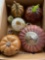Collection of glass & pottery pumpkins decor