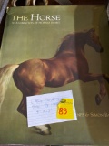 Large illustrated book the horse 14 inches and 17inches