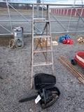 Craftsman Chainsaw and Wooden Ladder
