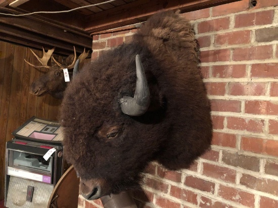 Buffalo mount