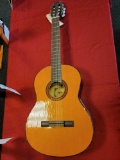 Texarkana c-725B acoustic guitar