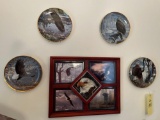 Signed bald eagle collectors plates, decor
